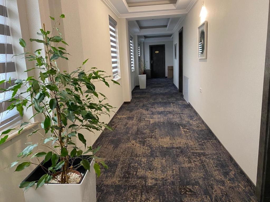Hotel Yarus Plus Ploiesti Ngoại thất bức ảnh